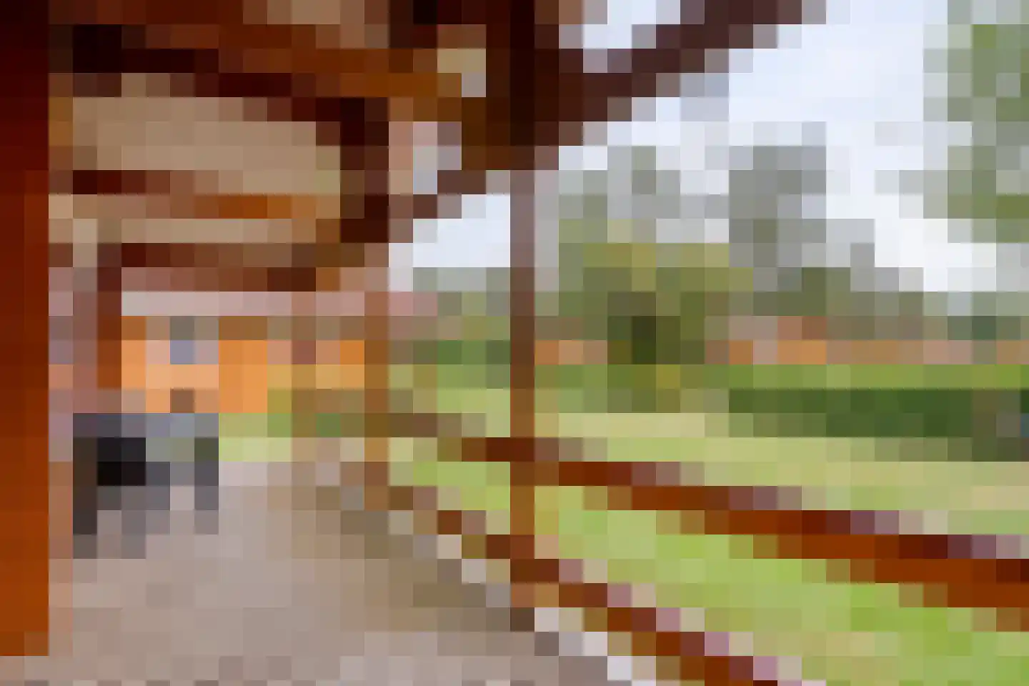 Boslaan 1 R174 Gramsbergen thumbnail 28