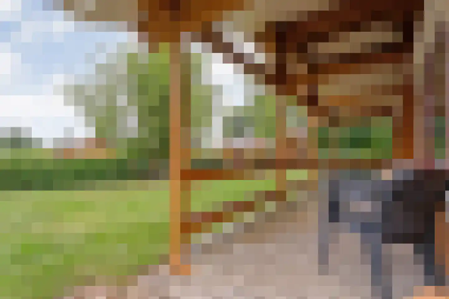 Boslaan 1 R174 Gramsbergen thumbnail 29