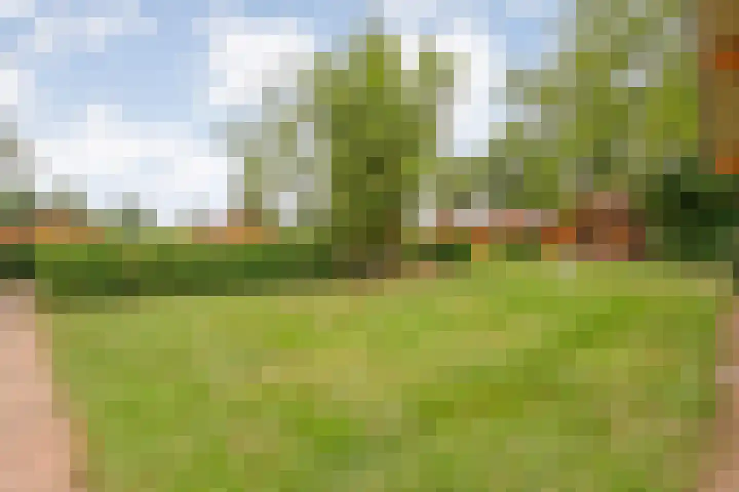 Boslaan 1 R174 Gramsbergen thumbnail 30