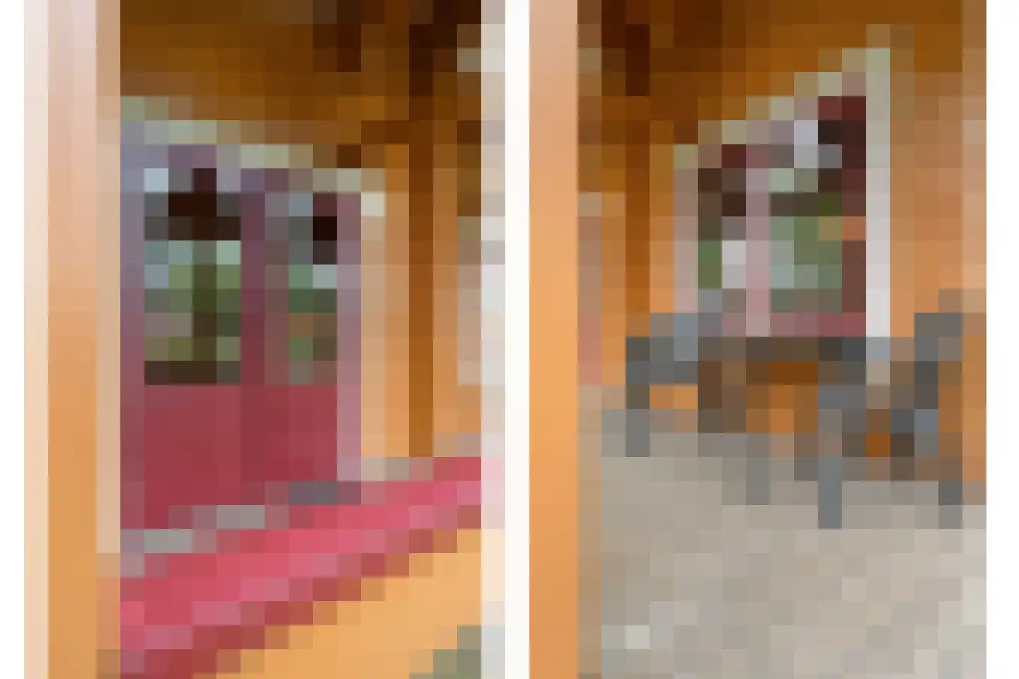 Boslaan 1 R174 Gramsbergen thumbnail 31