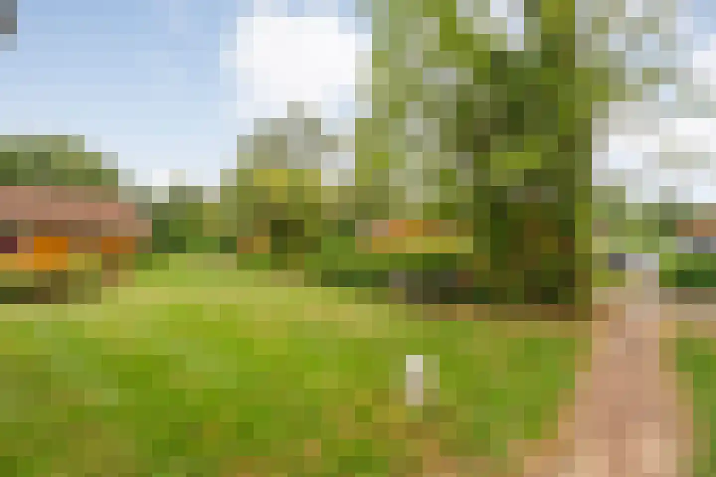 Boslaan 1 R174 Gramsbergen thumbnail 33