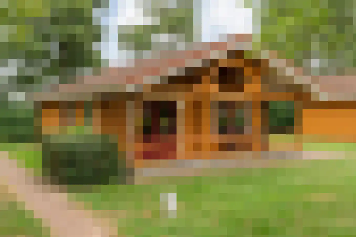 Boslaan 1 R174 Gramsbergen thumbnail 35