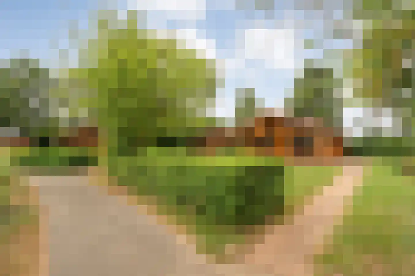 Boslaan 1 R174 Gramsbergen thumbnail 4