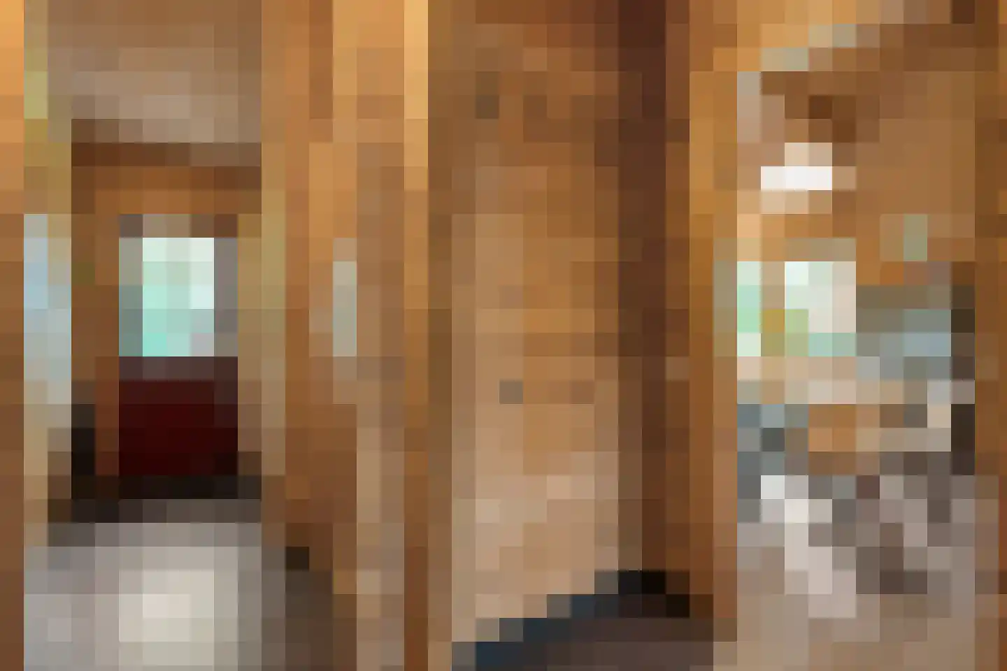 Boslaan 1 R174 Gramsbergen thumbnail 8