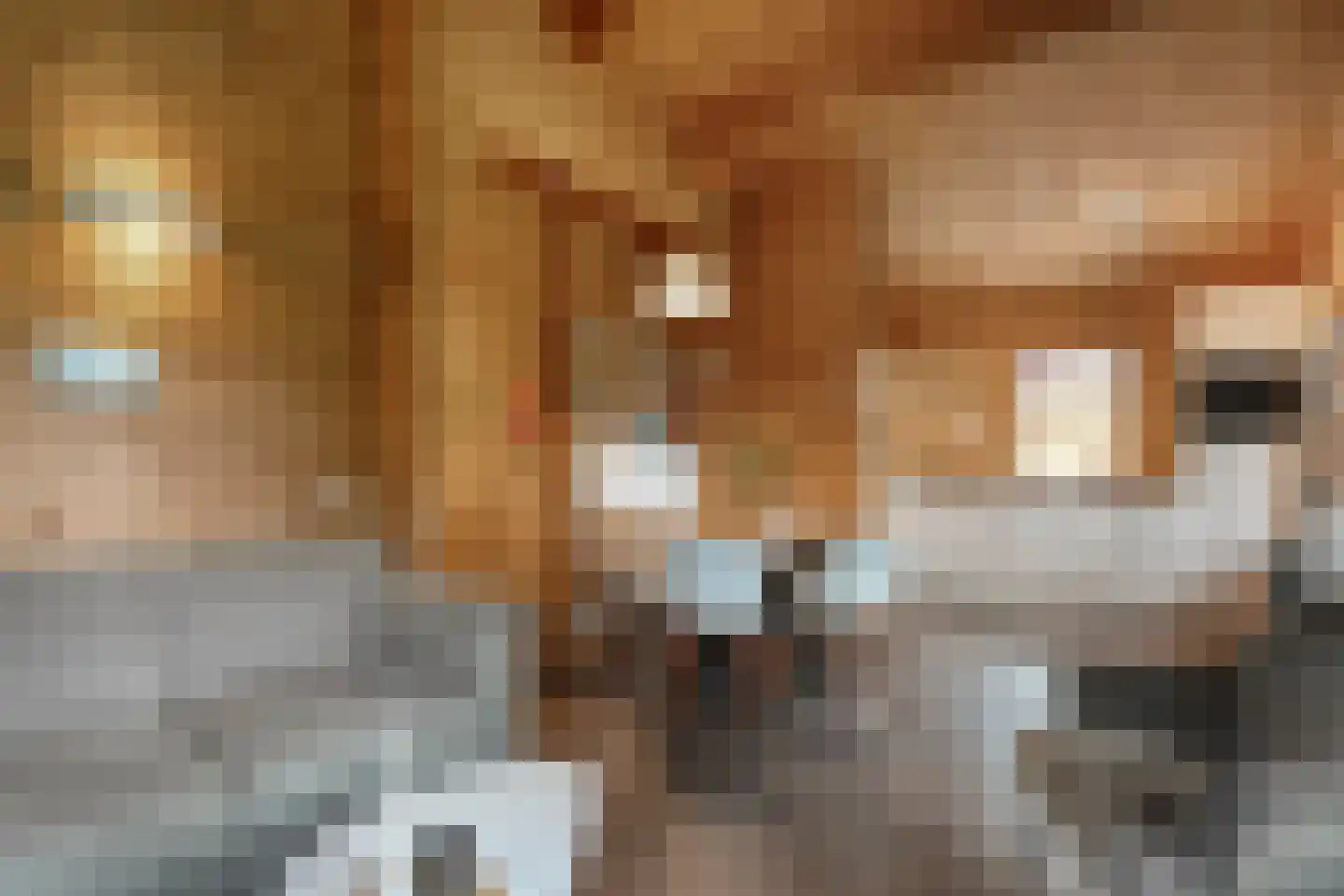 Boslaan 1 R174 Gramsbergen thumbnail 9