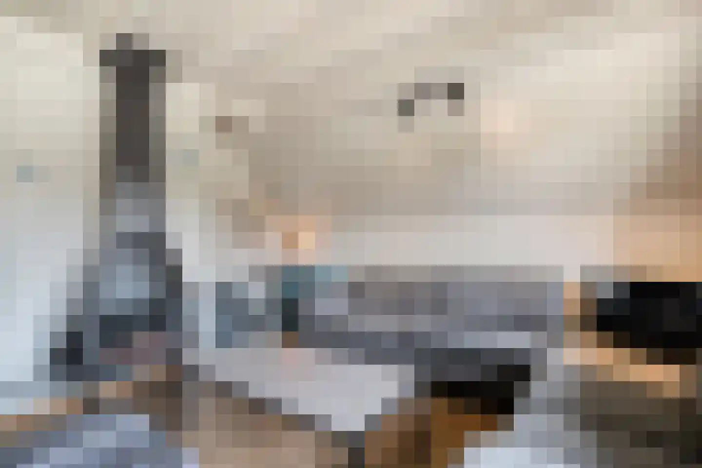 Boslaan 1 R183 Gramsbergen thumbnail 10