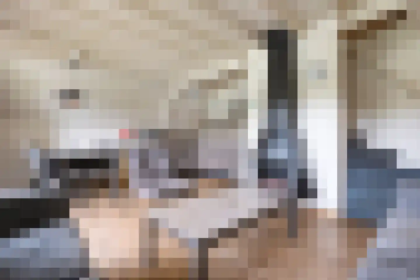 Boslaan 1 R183 Gramsbergen thumbnail 11
