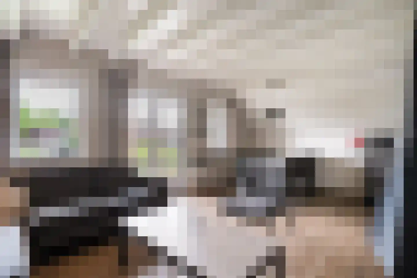 Boslaan 1 R183 Gramsbergen thumbnail 13