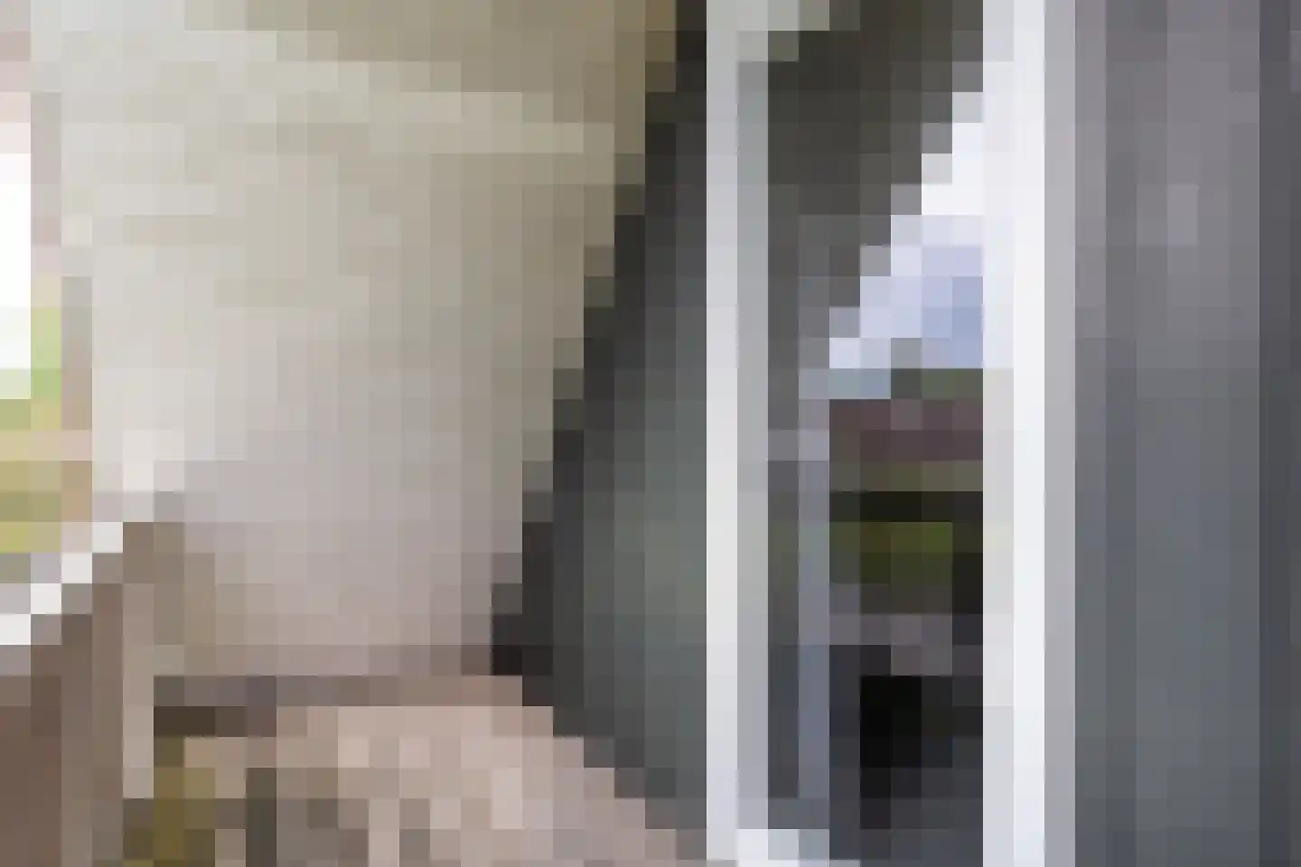 Boslaan 1 R183 Gramsbergen thumbnail 27