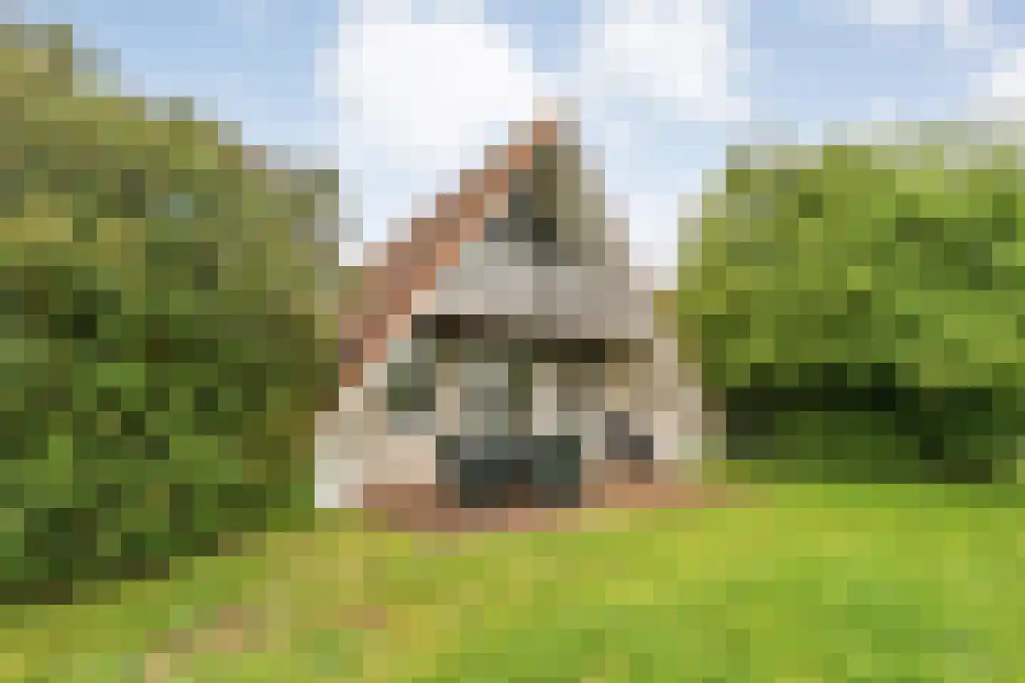 Boslaan 1 R183 Gramsbergen thumbnail 29