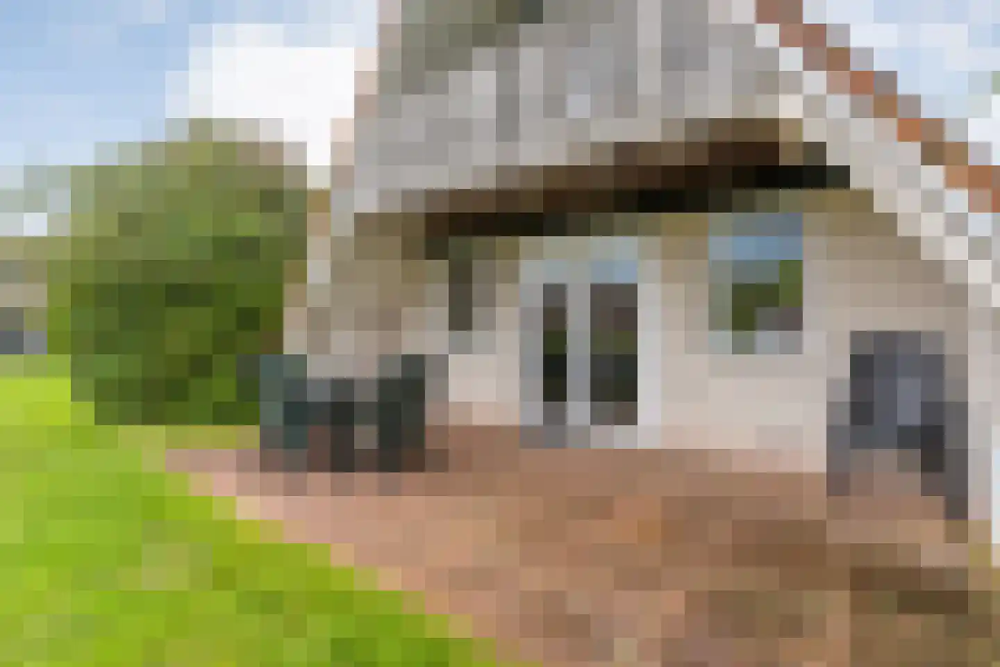 Boslaan 1 R183 Gramsbergen thumbnail 30