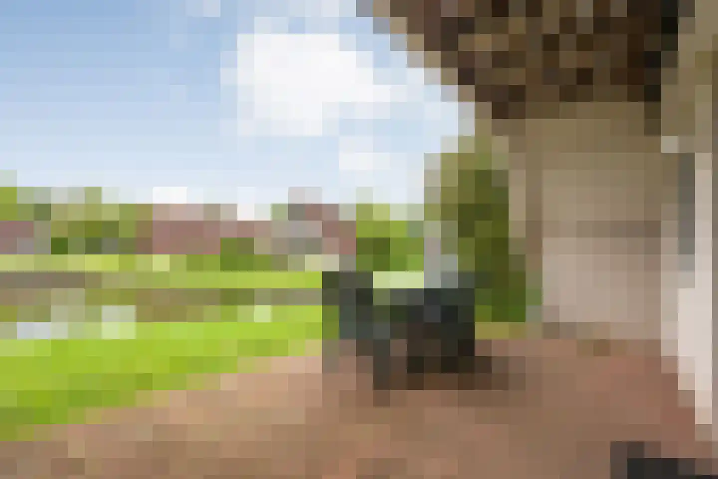 Boslaan 1 R183 Gramsbergen thumbnail 31
