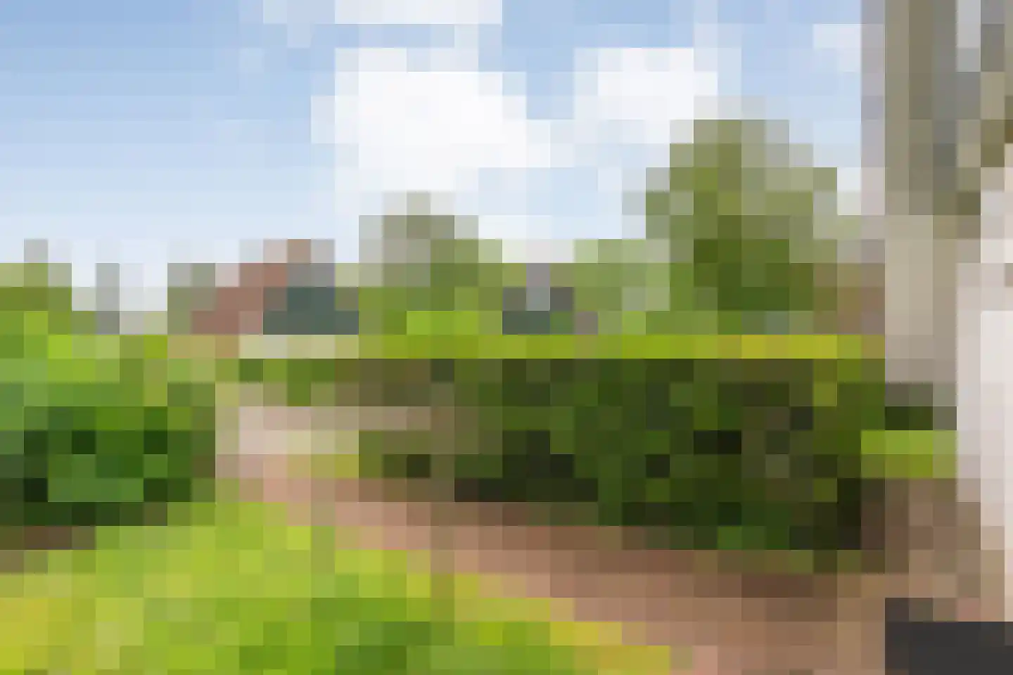 Boslaan 1 R183 Gramsbergen thumbnail 32