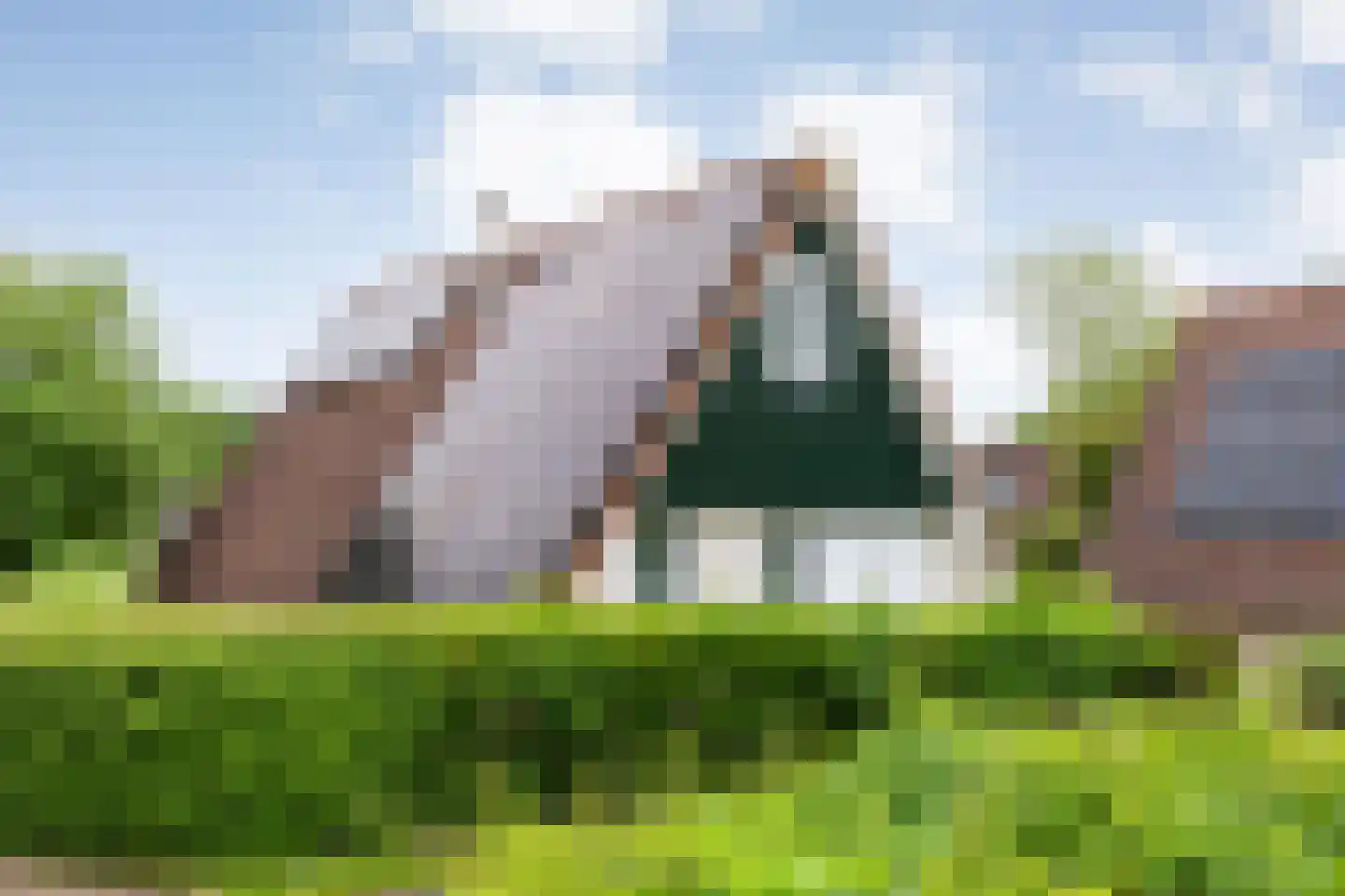 Boslaan 1 R183 Gramsbergen thumbnail 5
