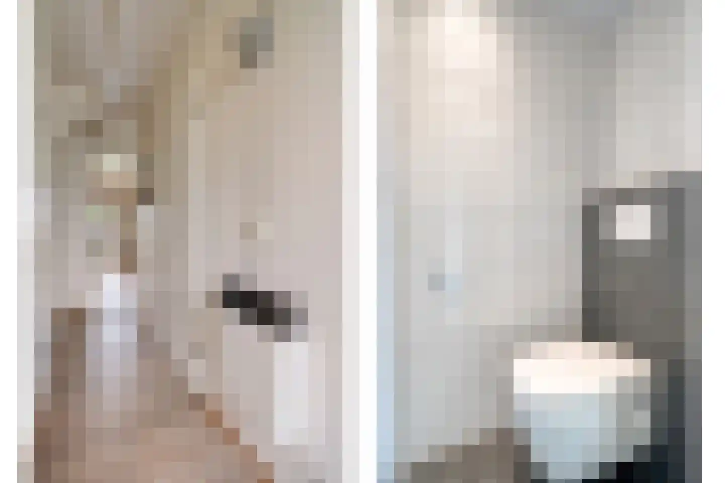 Boslaan 1 R183 Gramsbergen thumbnail 8