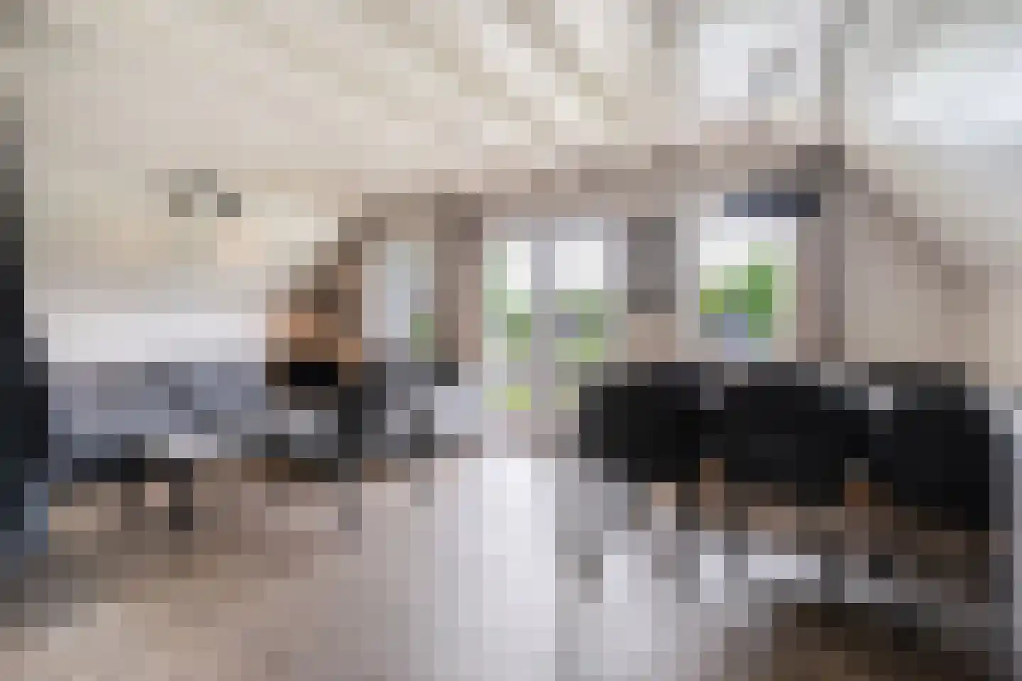 Boslaan 1 R183 Gramsbergen thumbnail 9
