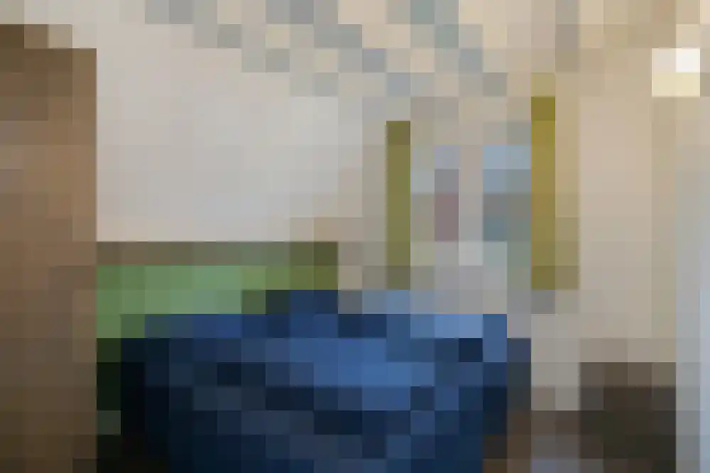 Boslaan 1 R19 Gramsbergen thumbnail 12