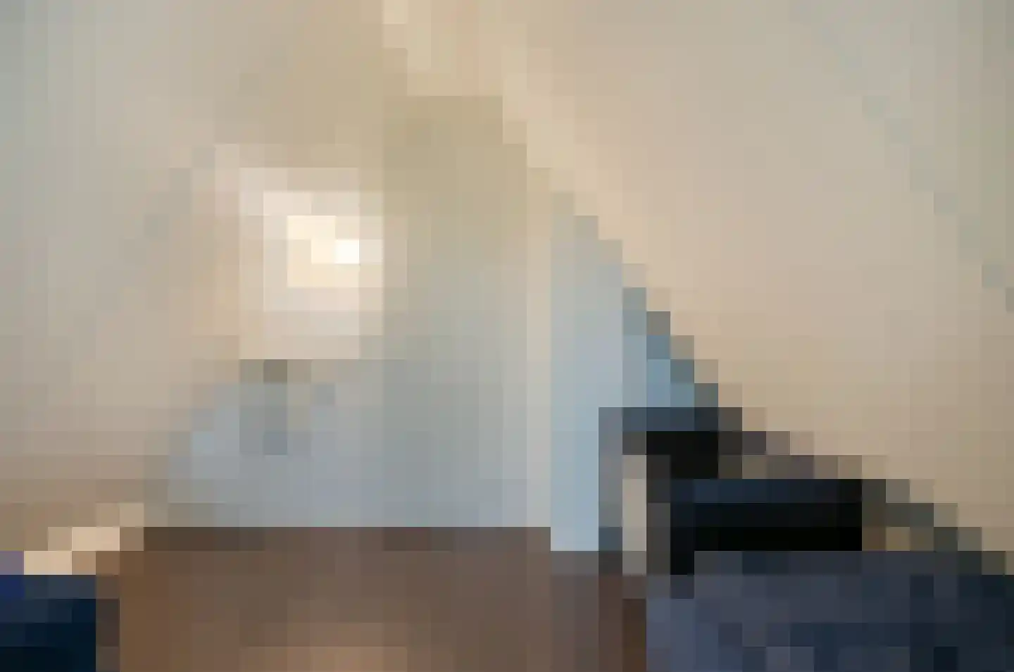 Boslaan 1 R19 Gramsbergen thumbnail 15
