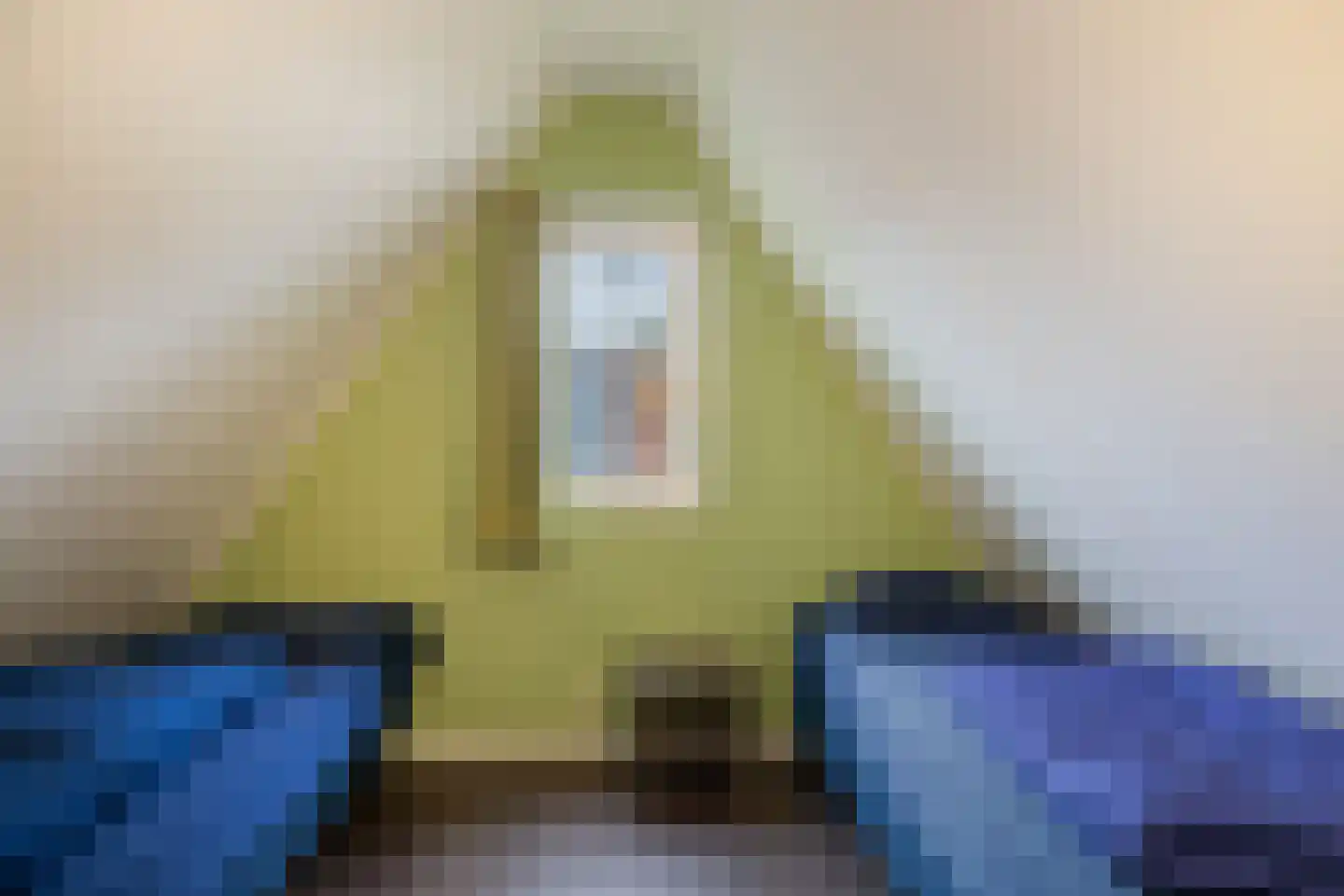 Boslaan 1 R19 Gramsbergen thumbnail 16