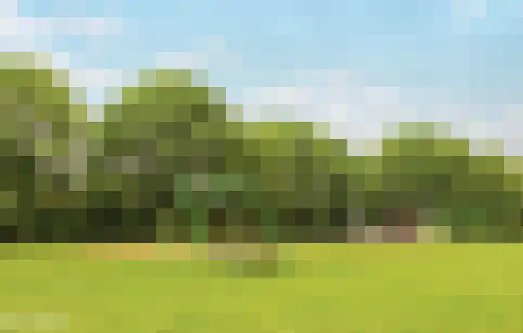 Boslaan 1 R19 Gramsbergen thumbnail 26