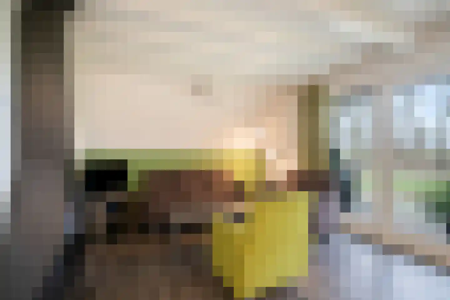 Boslaan 1 R19 Gramsbergen thumbnail 6