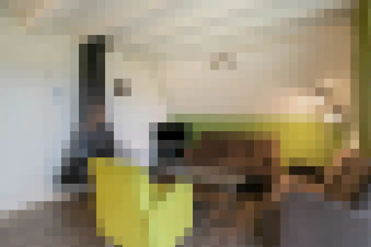 Boslaan 1 R19 Gramsbergen thumbnail 7