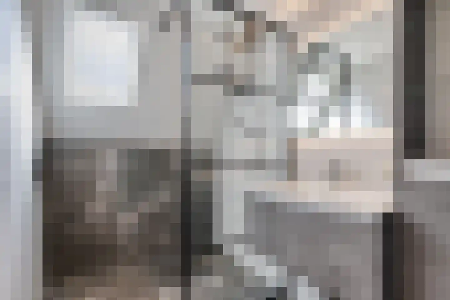 Boslaan 1 R203 Gramsbergen thumbnail 11