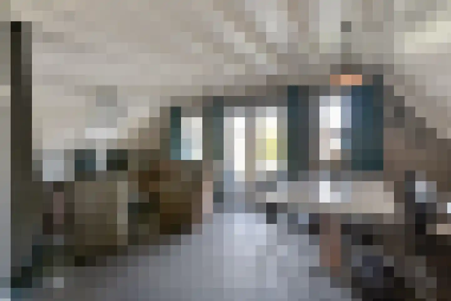 Boslaan 1 R203 Gramsbergen thumbnail 15