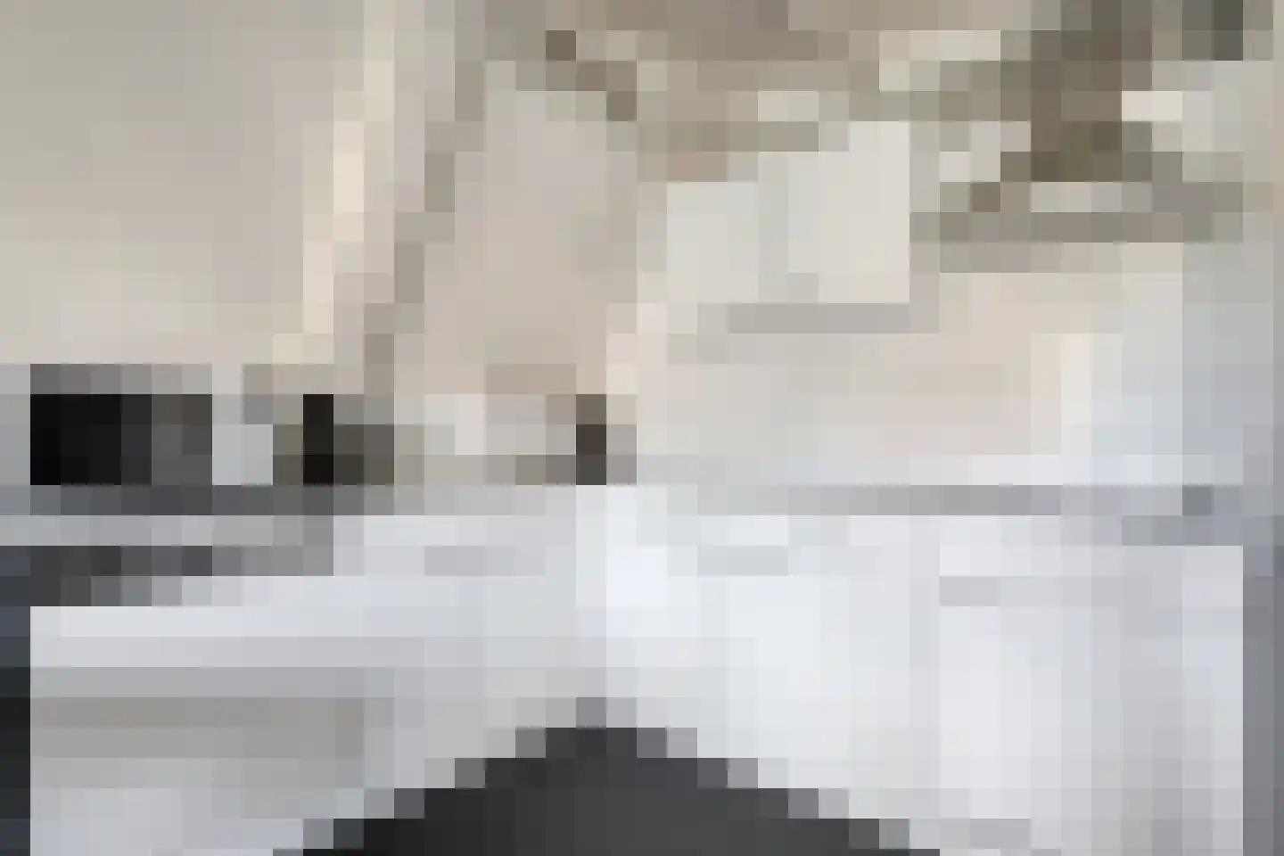 Boslaan 1 R203 Gramsbergen thumbnail 17