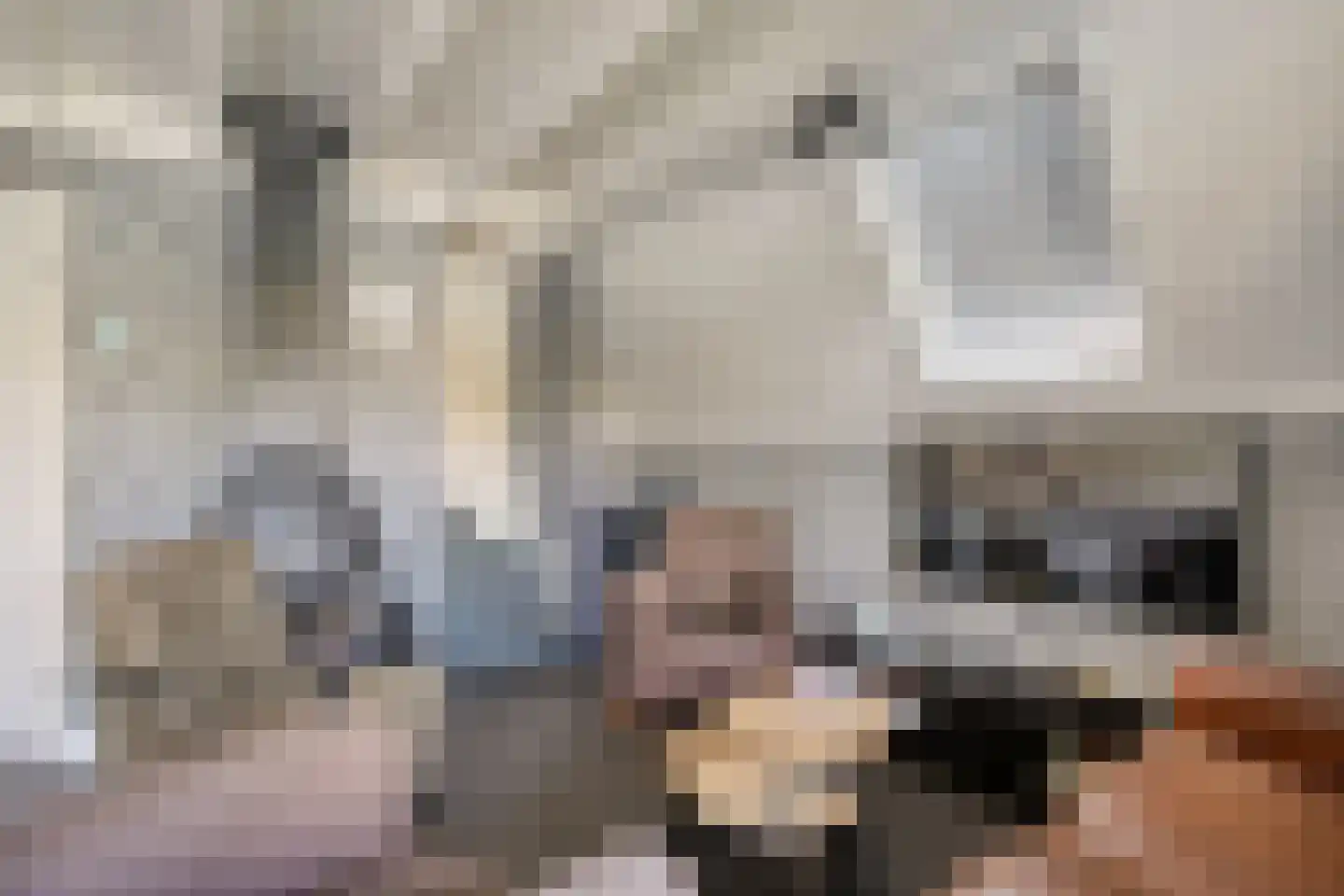 Boslaan 1 R203 Gramsbergen thumbnail 20