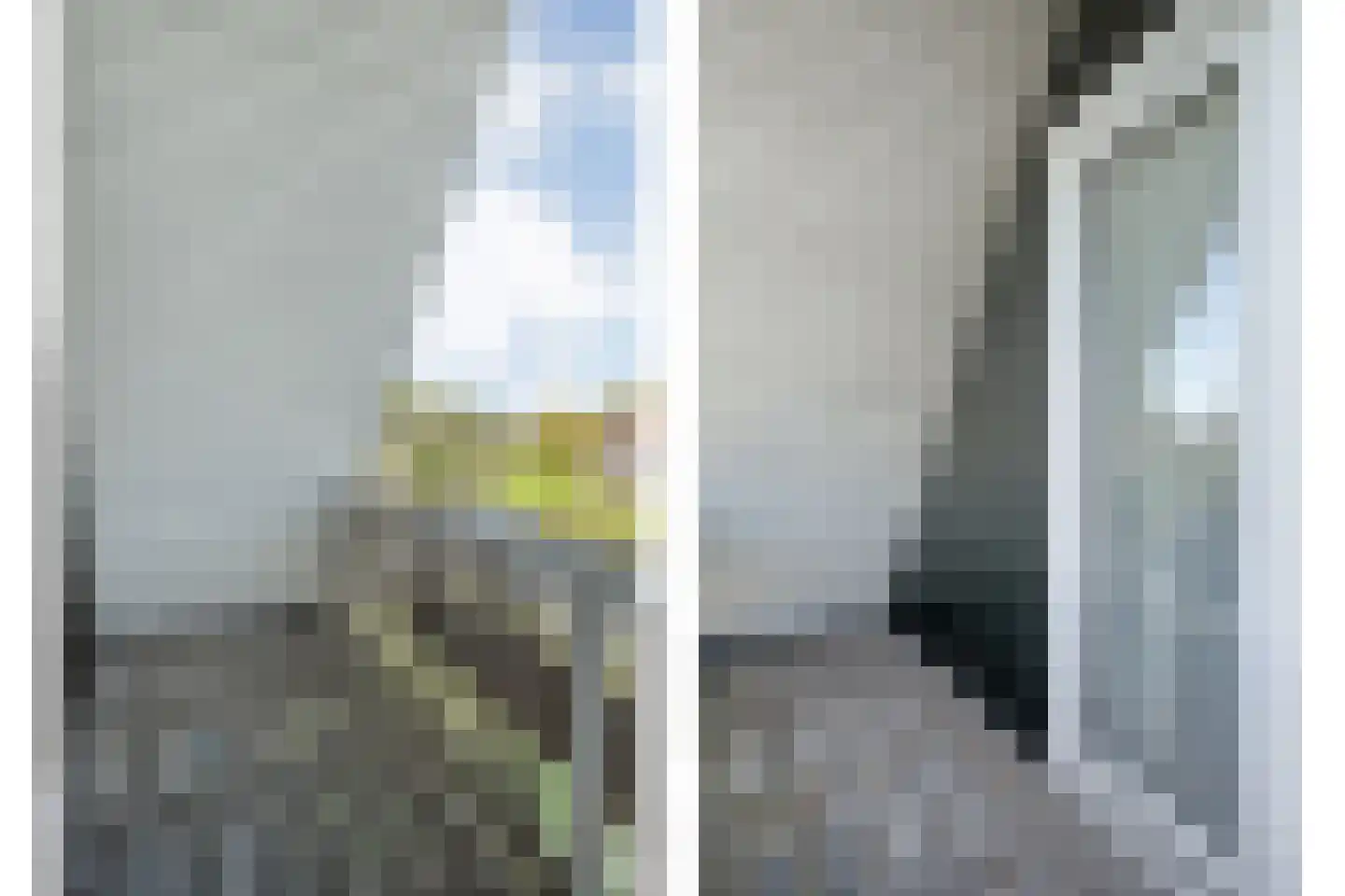 Boslaan 1 R203 Gramsbergen thumbnail 26