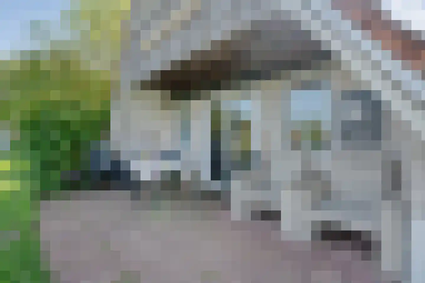 Boslaan 1 R203 Gramsbergen thumbnail 27