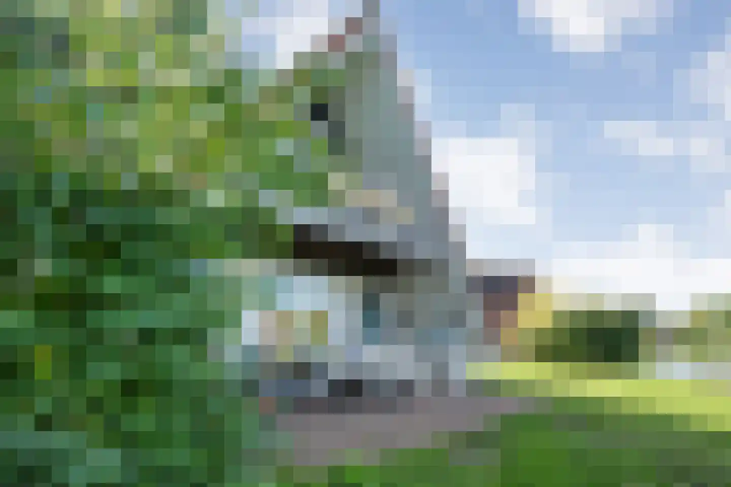 Boslaan 1 R203 Gramsbergen thumbnail 28
