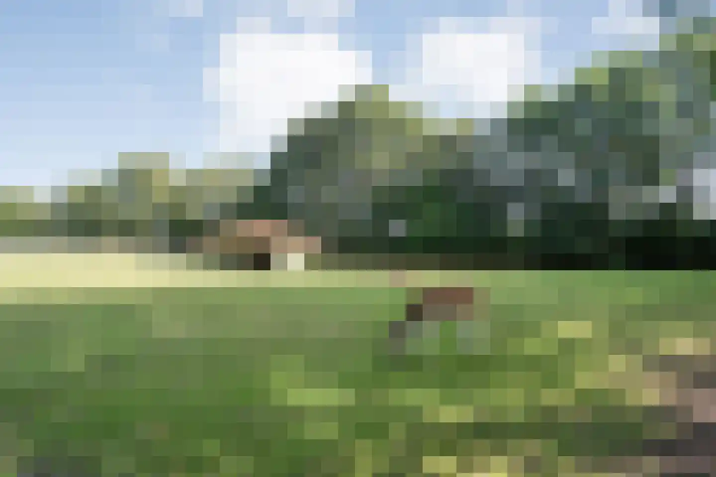 Boslaan 1 R203 Gramsbergen thumbnail 4