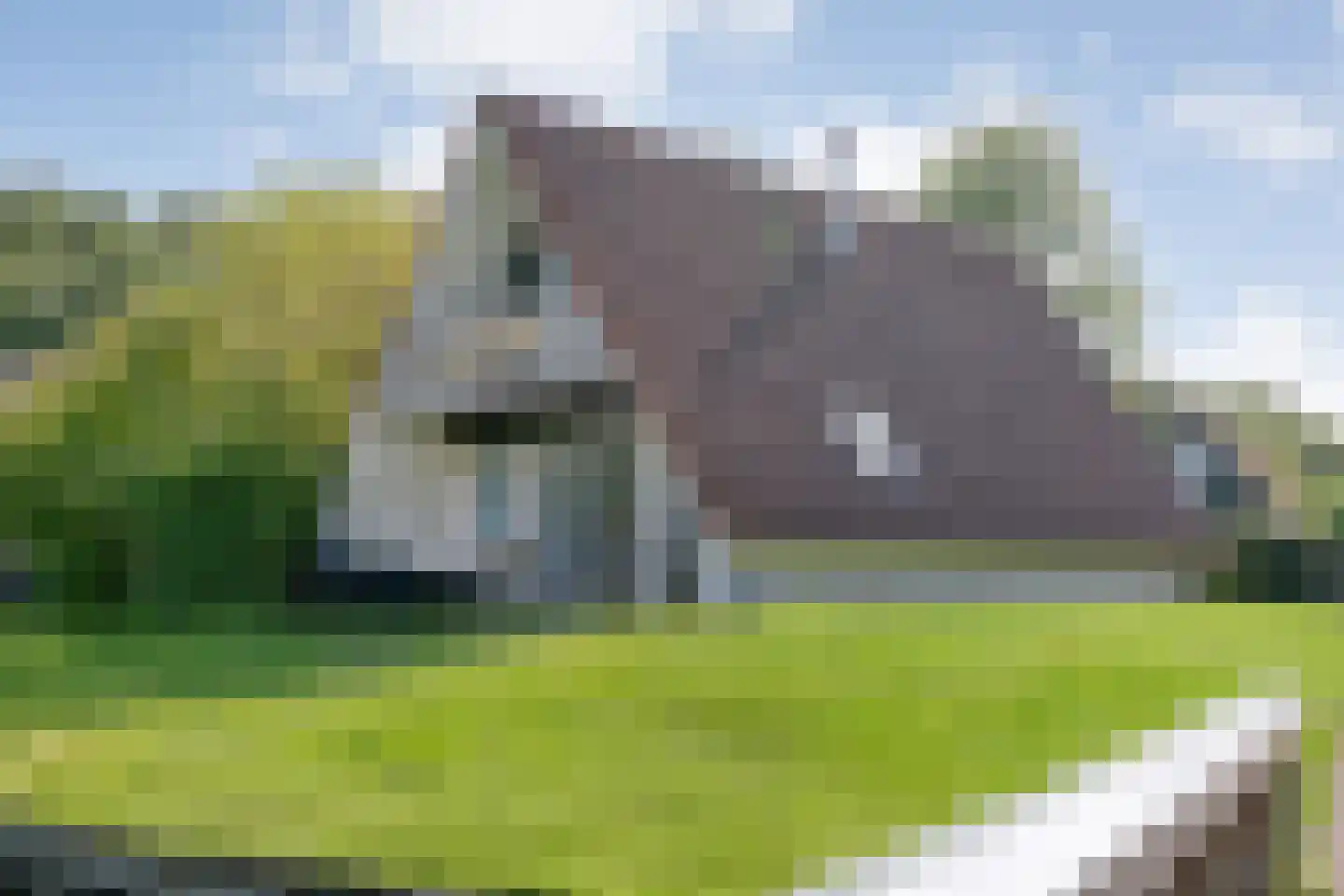 Boslaan 1 R203 Gramsbergen thumbnail 6