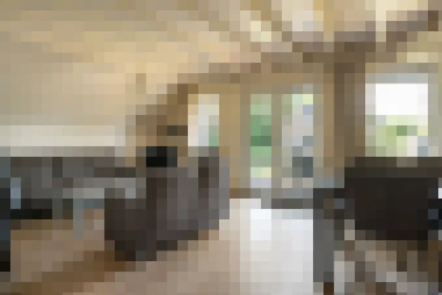 Boslaan 1 R208 Gramsbergen thumbnail 15