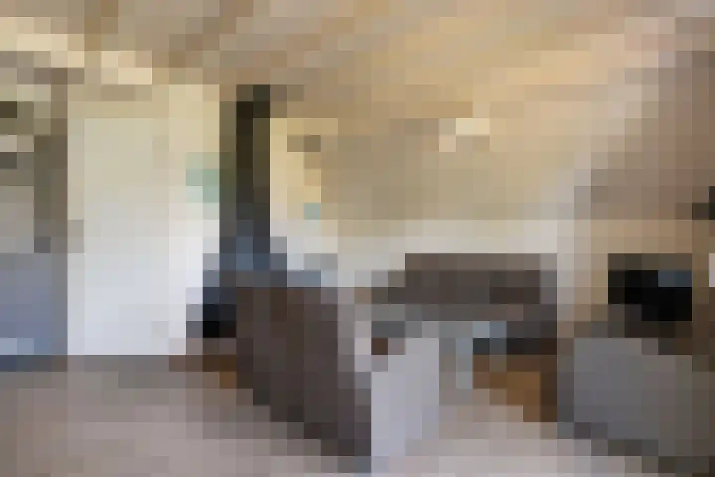 Boslaan 1 R208 Gramsbergen thumbnail 16