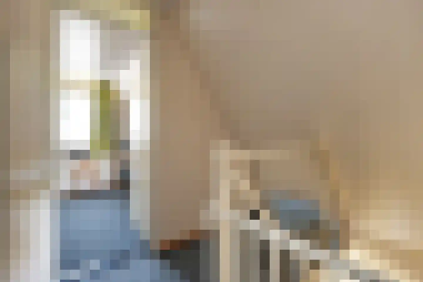 Boslaan 1 R208 Gramsbergen thumbnail 19