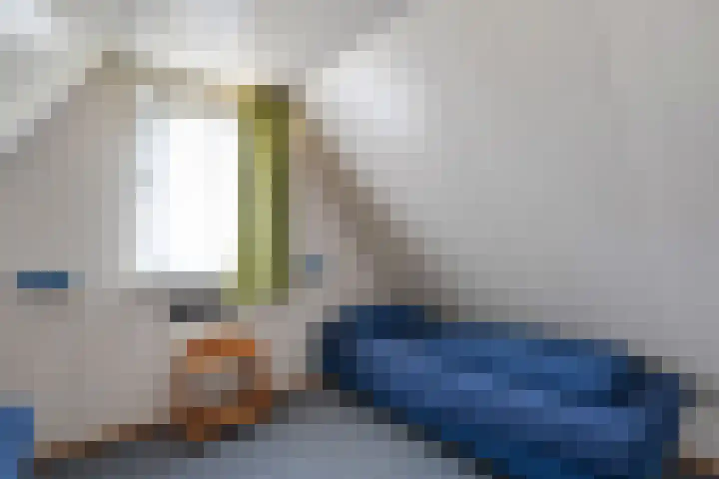 Boslaan 1 R208 Gramsbergen thumbnail 24