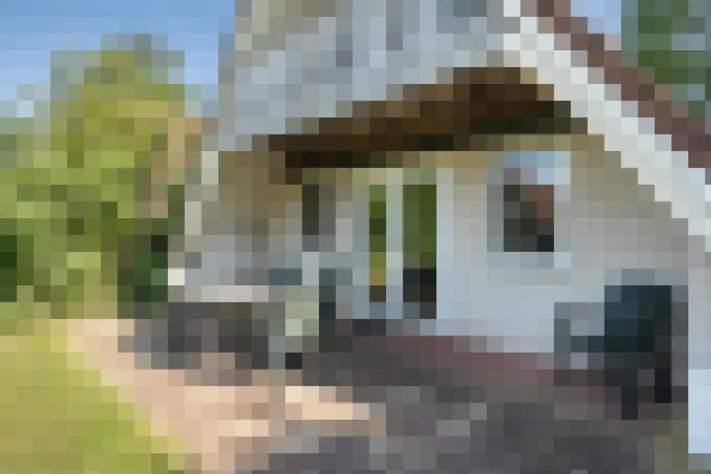 Boslaan 1 R208 Gramsbergen thumbnail 27
