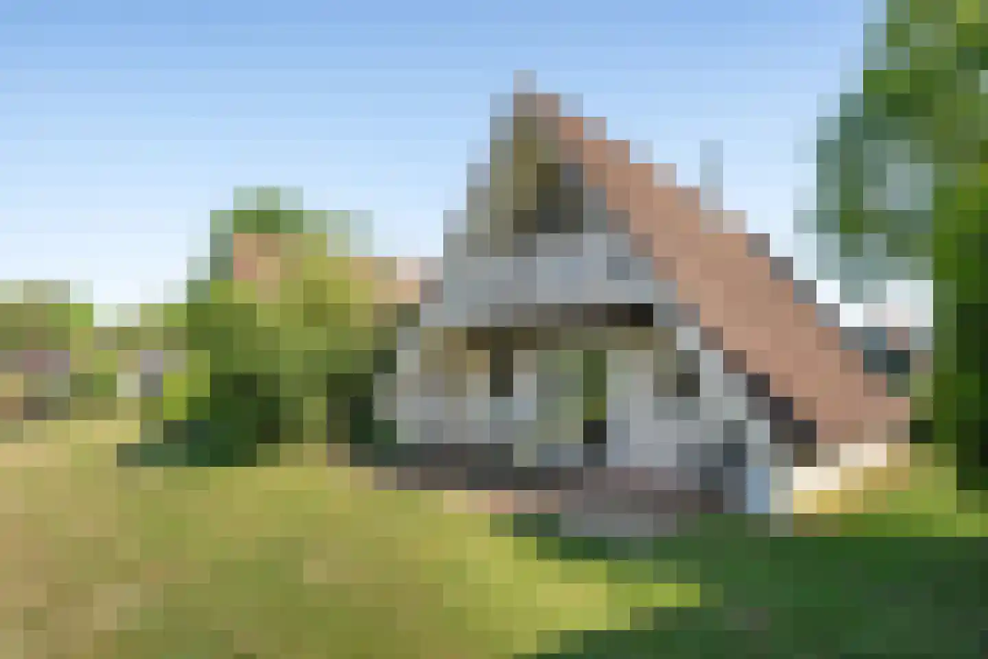 Boslaan 1 R208 Gramsbergen thumbnail 29