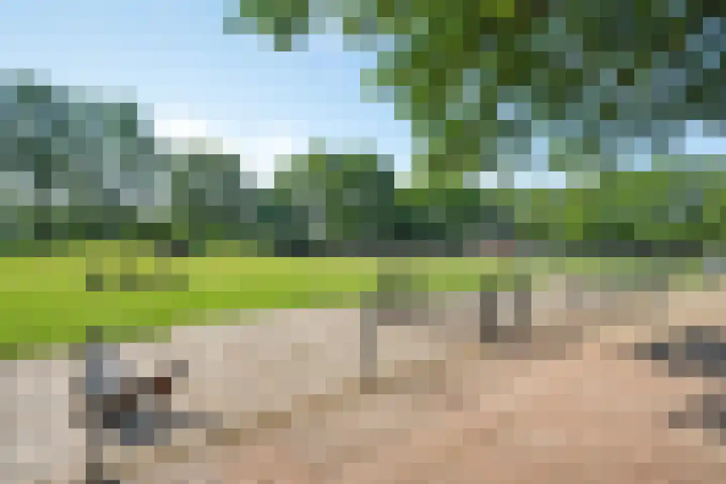 Boslaan 1 R208 Gramsbergen thumbnail 31