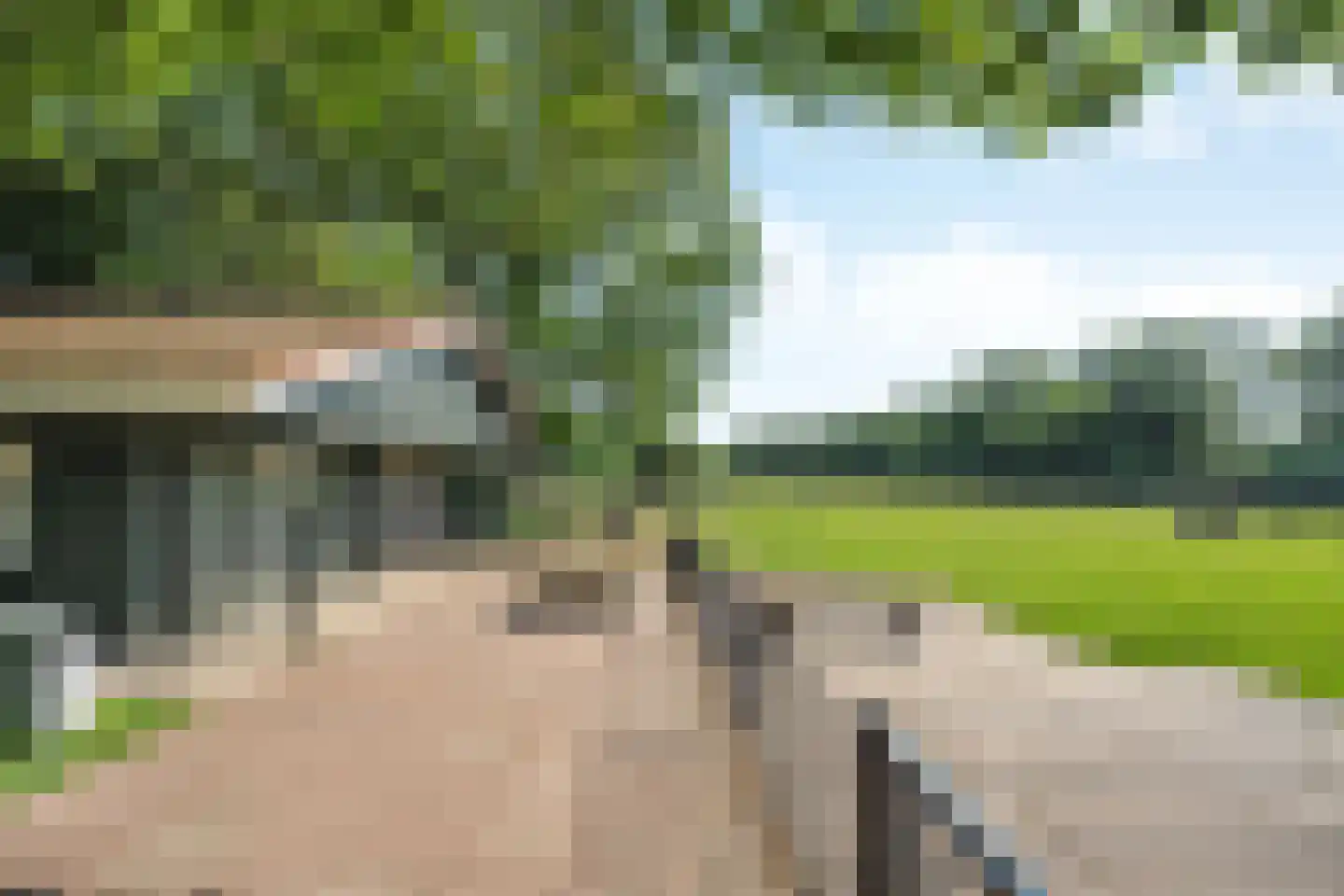 Boslaan 1 R208 Gramsbergen thumbnail 32