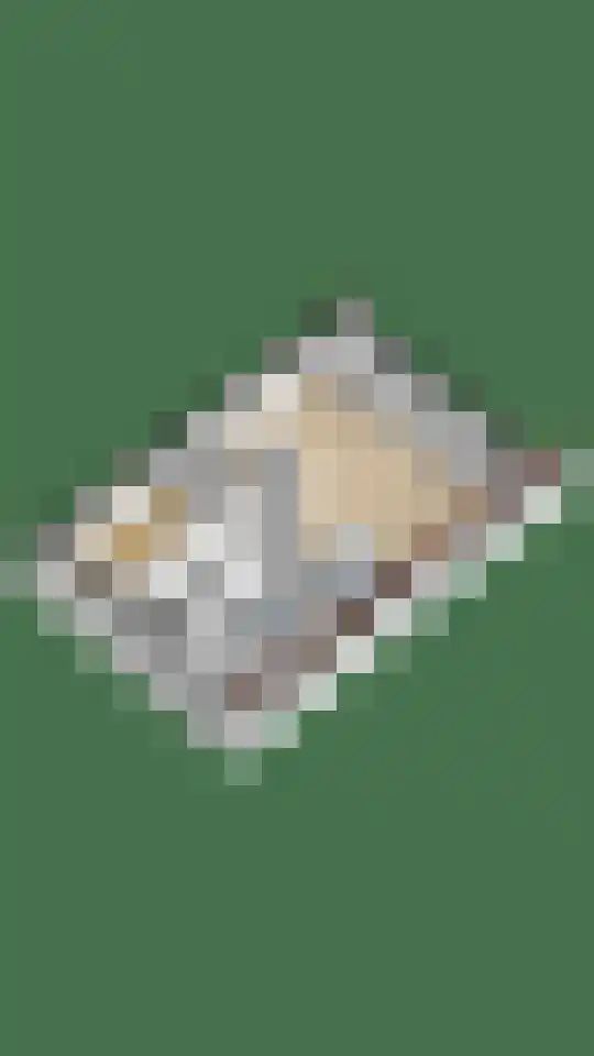Boslaan 1 R208 Gramsbergen thumbnail 34