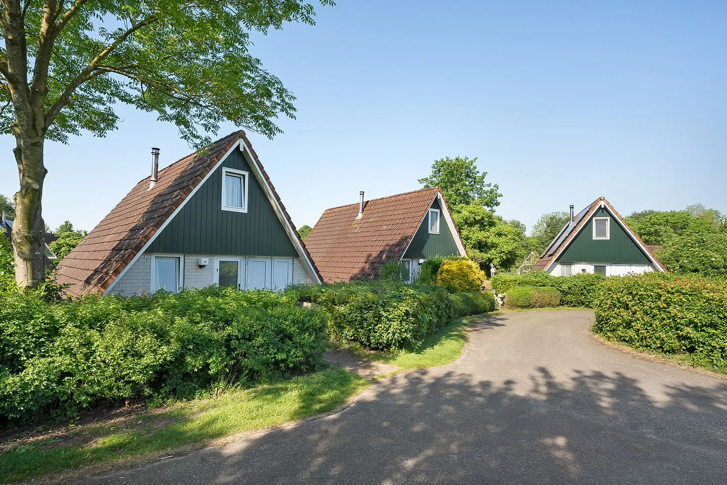 Boslaan 1 R208 Gramsbergen thumbnail 4