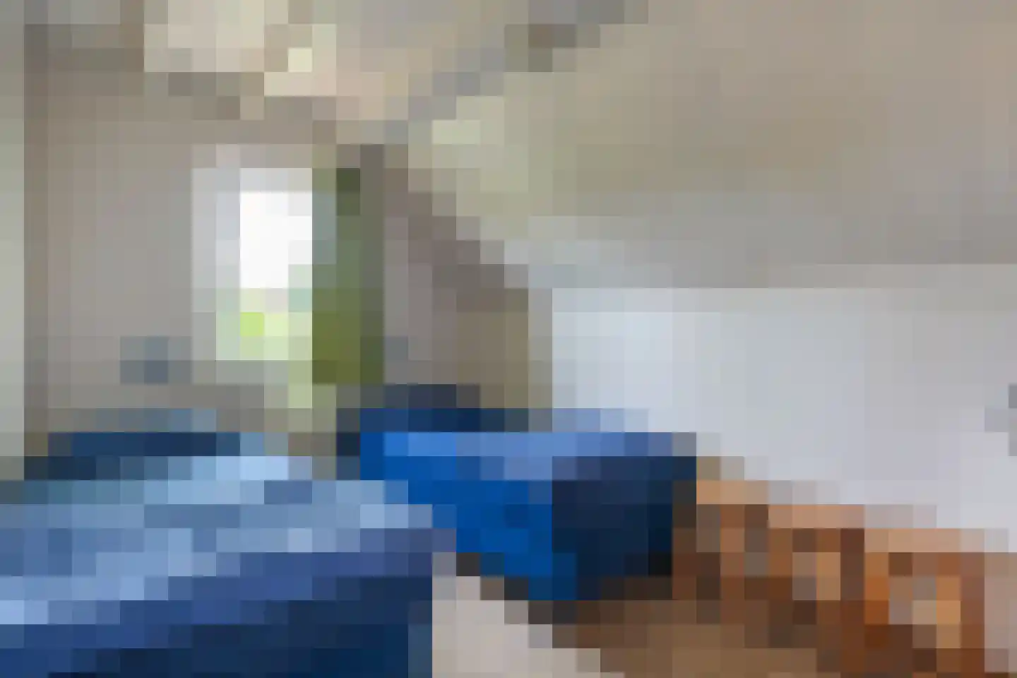 Boslaan 1 R208 Gramsbergen thumbnail 8