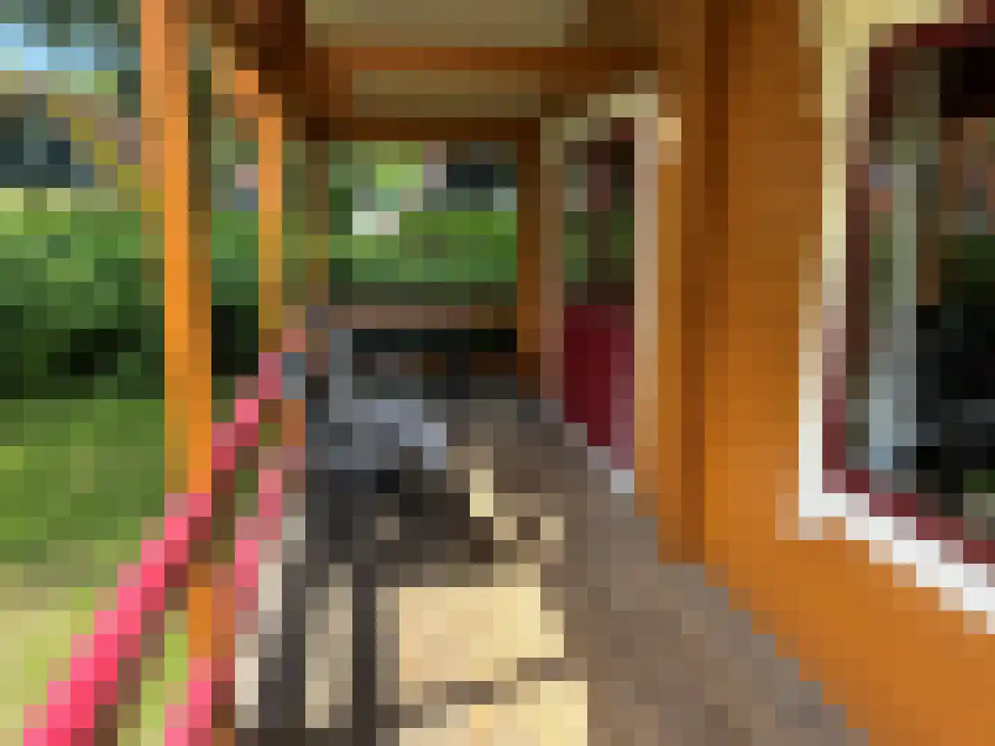 Boslaan 1 R27 Gramsbergen thumbnail 13