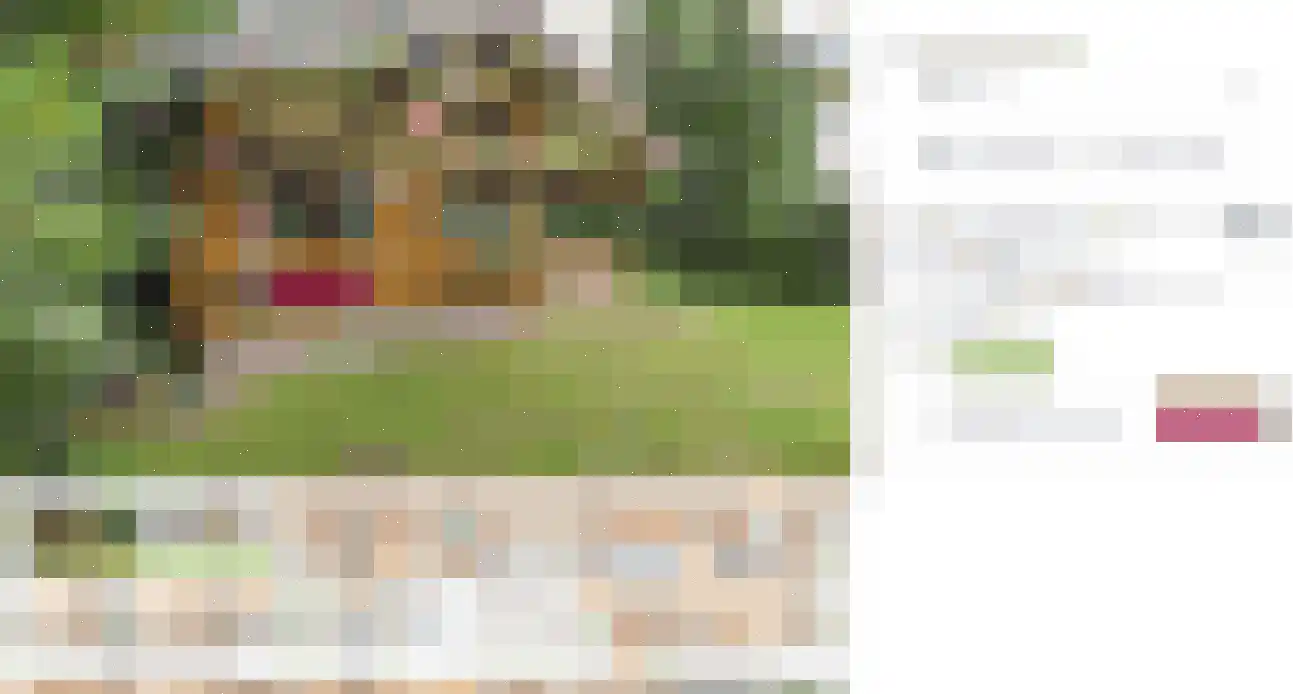 Boslaan 1 R27 Gramsbergen thumbnail 24