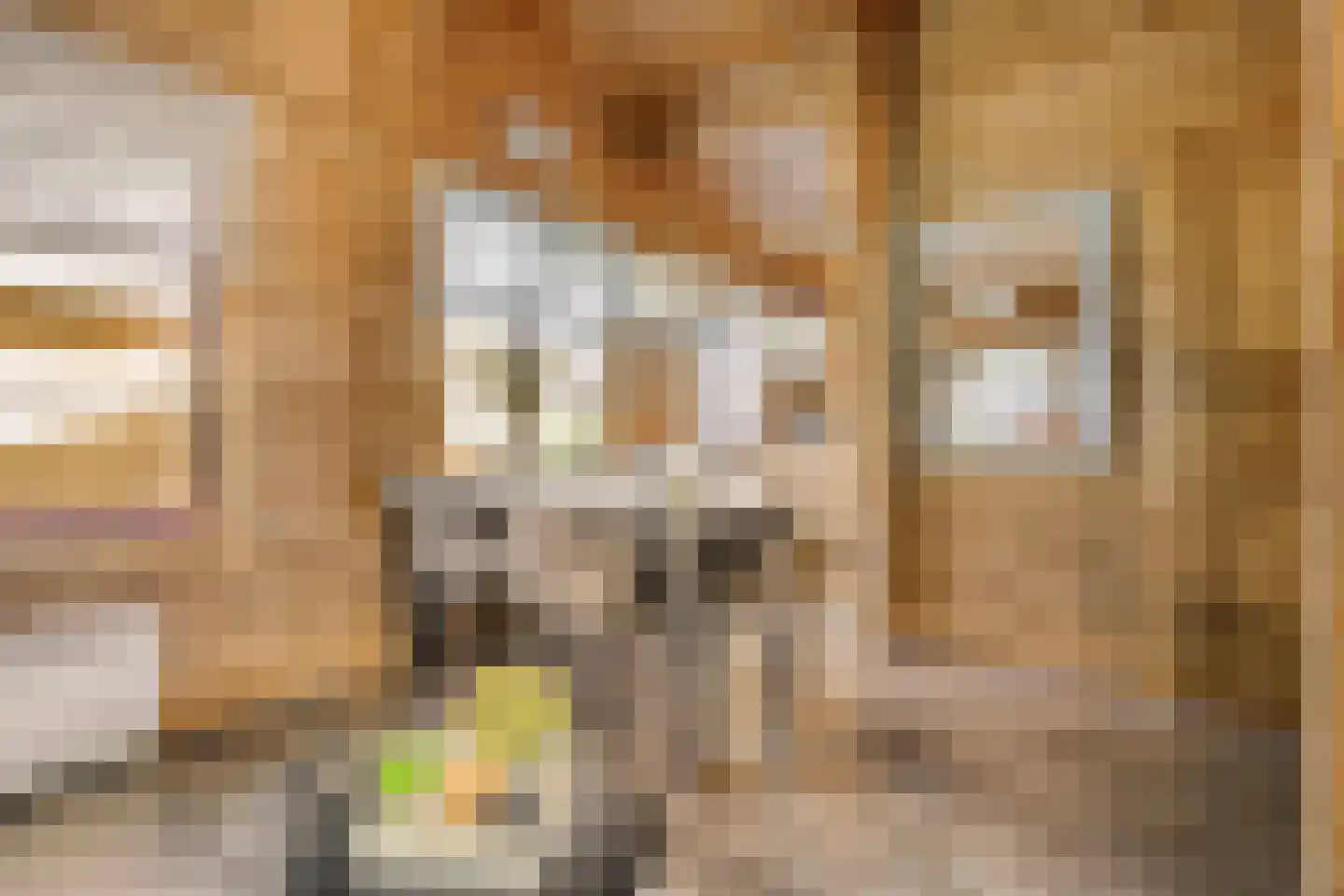 Boslaan 1 R33 Gramsbergen thumbnail 10