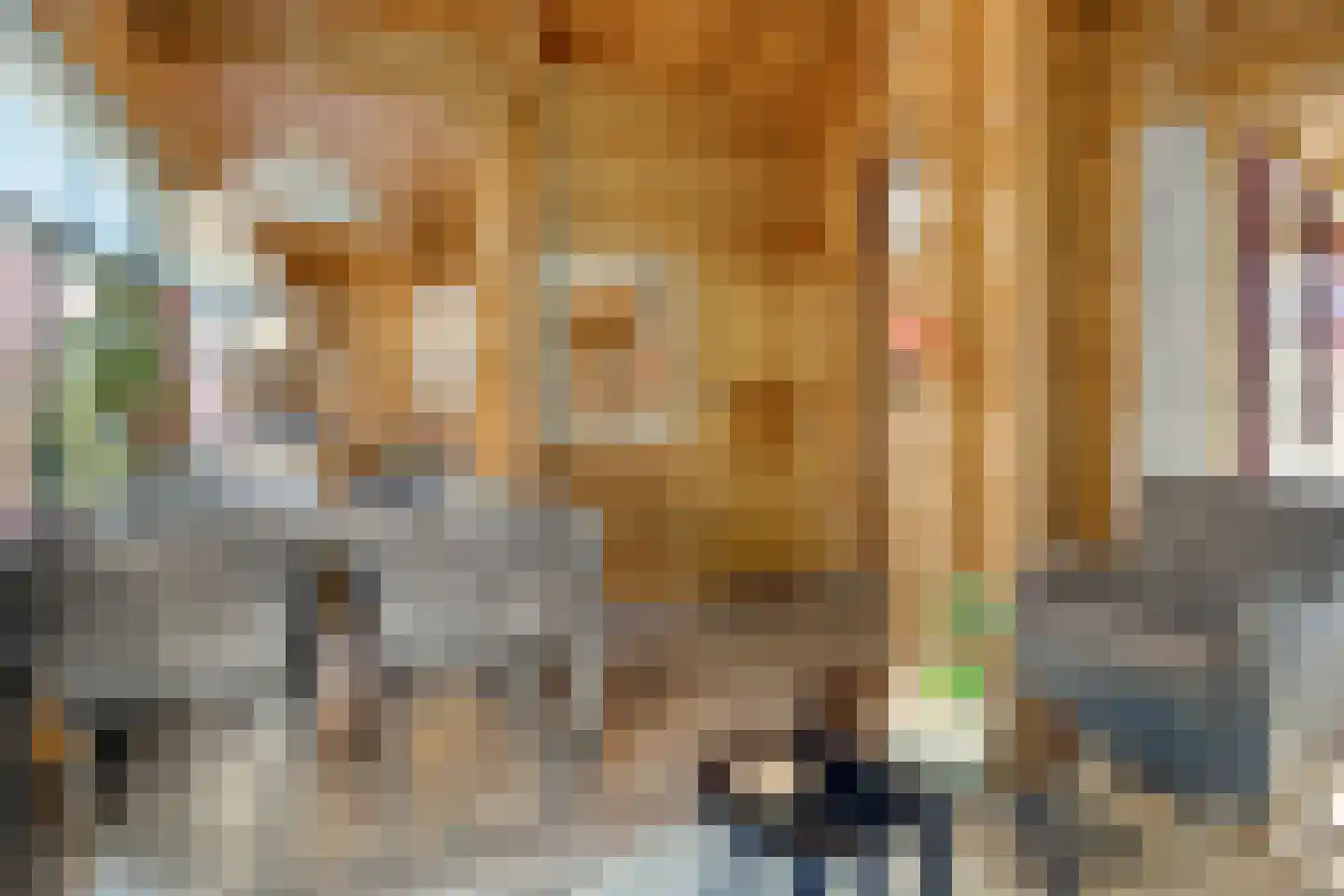 Boslaan 1 R33 Gramsbergen thumbnail 11